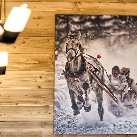 Visitzakopane - Tatra Ski Apartment Exteriér fotografie